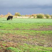 Stare Bielsko 14/11/2010