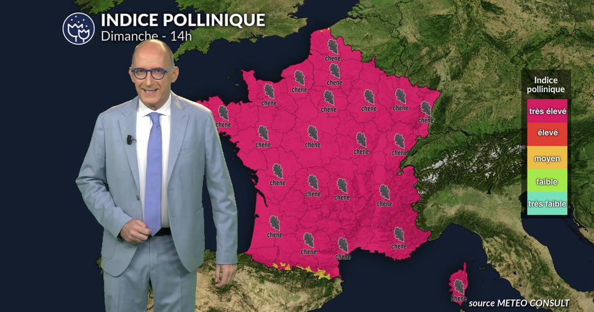 Pollens et allergies : chaleur et temps sec favorisent un risque toujours très élevé