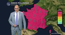 Pollens et allergies : chaleur et temps sec favorisent une hausse du risque dimanche