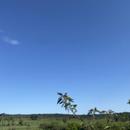 Montpezat 25/04/2026