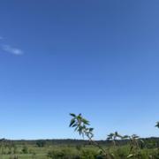 Montpezat 25/04/2026