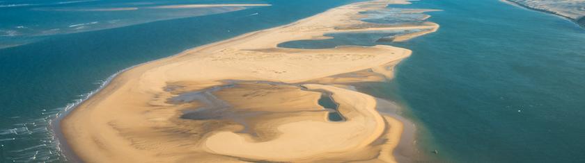 Au large de la dune du Pilat, un "joyau" de biodiversité en péril