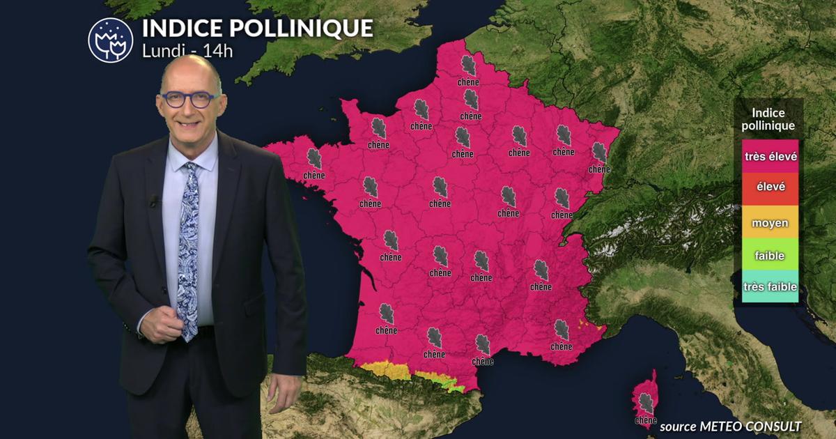 Pollens et allergies : risque très élevé, surtout pour le chêne, sauf sous orages dans le sud-ouest le soir