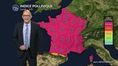 Pollens : un pic de chêne sous chaleur estivale, vigilance accrue sauf au sud-ouest en fin de journée