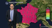 Pollens : un pic de chêne sous chaleur estivale, vigilance accrue sauf au sud-ouest en fin de journée