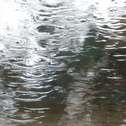 La Ferrière 13/11/2010