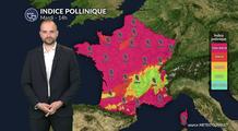 Pollens et allergies : vigilance maximale avec un pic généralisé de chêne