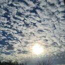 Saint-Léger-des-Vignes 28/04/2026