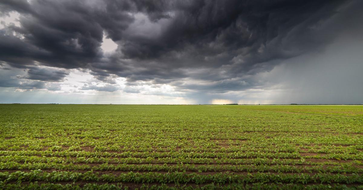 Orages : un risque en hausse au fil de la semaine