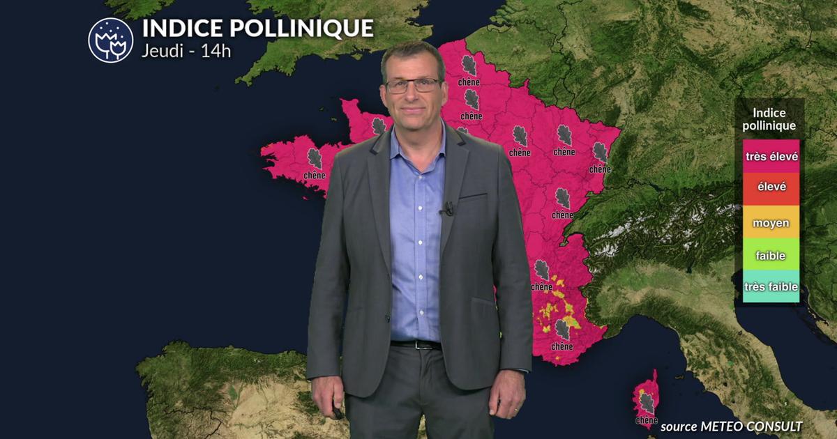 Pollens et allergies : fortes concentrations polliniques sauf au sud-ouest avec le retour des orages