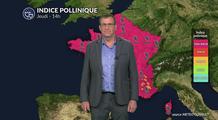 Pollens et allergies : fortes concentrations polliniques sauf au sud-ouest avec le retour des orages