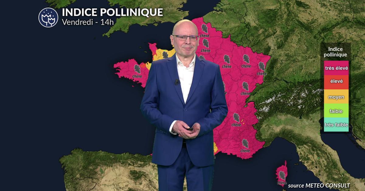 Pollens et allergies : alerte rouge aux pollens sur toute la France