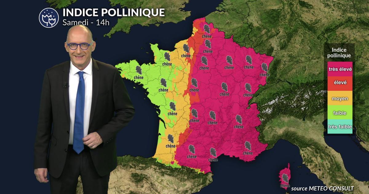 Pollens et allergies : amélioration samedi 2 mai dans l'ouest grâce aux pluies et aux orages