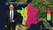 Pollens et allergies : amélioration samedi 2 mai dans l'ouest grâce aux pluies et aux orages