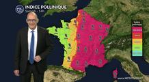 Pollens et allergies : amélioration samedi 2 mai dans l'ouest grâce aux pluies et aux orages