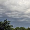 Niort 02/05/2026