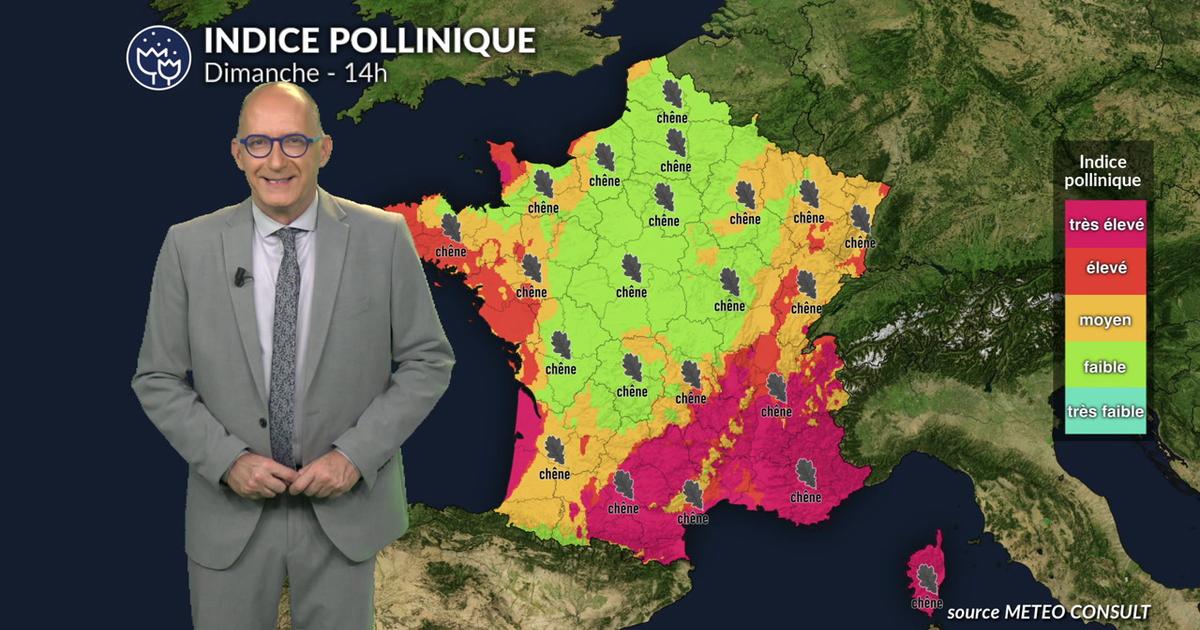 Pollens et allergies : les pluies freinent le risque, sauf dans l’est et le sud-est dimanche
