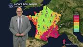 Pollens et allergies : les pluies freinent le risque, sauf dans l’est et le sud-est dimanche