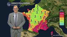 Pollens et allergies : les pluies freinent le risque, sauf dans l’est et le sud-est dimanche