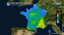 Sécheresse : vers une atténuation grâce à une "amélioration pluvieuse" ces prochains jours