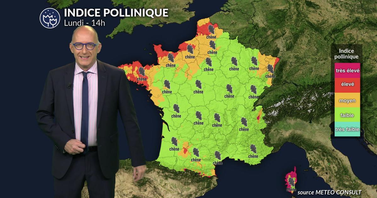 Pollens et allergies : le mauvais temps fait nettement reculer le risque allergique lundi