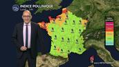 Pollens et allergies : le mauvais temps fait nettement reculer le risque allergique lundi
