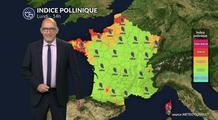 Pollens et allergies : le mauvais temps fait nettement reculer le risque allergique lundi
