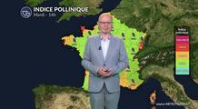Alerte cyprès dans le Sud : risque allergique maximal en Corse et PACA tandis que la pluie apaise le Nord