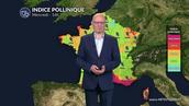 Bulletin pollinique : pluies salvatrices au nord mais risque très élevé de cyprès dans le Sud