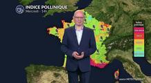 Bulletin pollinique : pluies salvatrices au nord mais risque très élevé de cyprès dans le Sud
