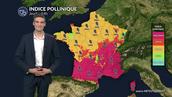 Pollens et allergies ce jeudi : risque allergique maximal du sud au centre-est, les pollens de chêne dominants
