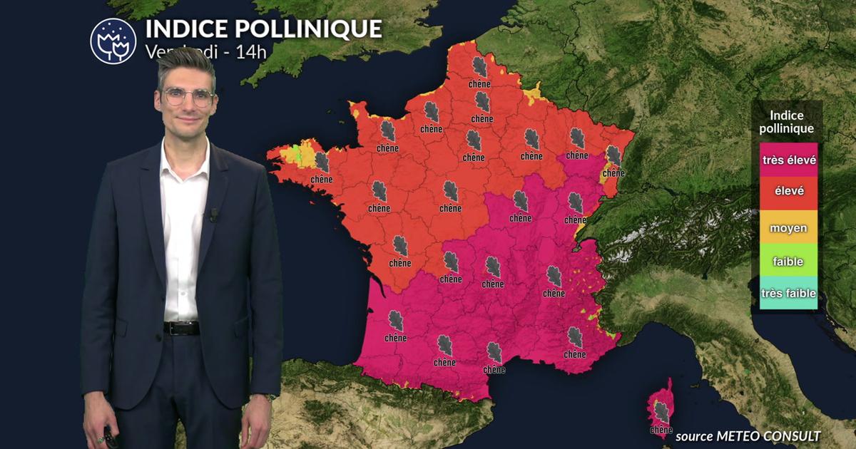 Pollens et allergies ce vendredi : un indice pollinique en hausse sur l'ensemble du pays grâce aux belles éclaircies