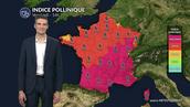 Pollens et allergies ce vendredi : un indice pollinique en hausse sur l'ensemble du pays grâce aux belles éclaircies