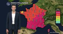 Pollens et allergies ce vendredi : un indice pollinique en hausse sur l'ensemble du pays grâce aux belles éclaircies