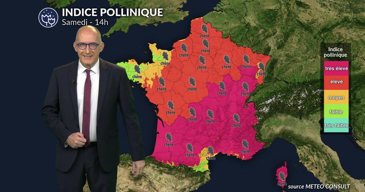 Pollens et allergies : un samedi estival avant le retour des orages, attention au chêne et aux premières graminées