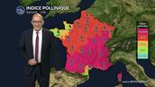 Pollens et allergies : un samedi estival avant le retour des orages, attention au chêne et aux premières graminées