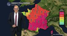 Pollens et allergies : un samedi estival avant le retour des orages, attention au chêne et aux premières graminées