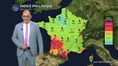 Pollens et allergies : un répit pour les allergiques dimanche 10 mai grâce aux pluies et aux orages