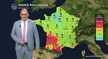 Pollens et allergies : un répit pour les allergiques dimanche 10 mai grâce aux pluies et aux orages