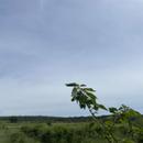Montpezat 09/05/2026