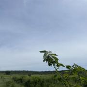 Montpezat 09/05/2026