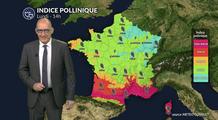 Pollens et allergies : accalmie au nord sous la pluie, vigilance maintenue près de la Méditerranée et dans le sud-ouest ce lundi 11 mai