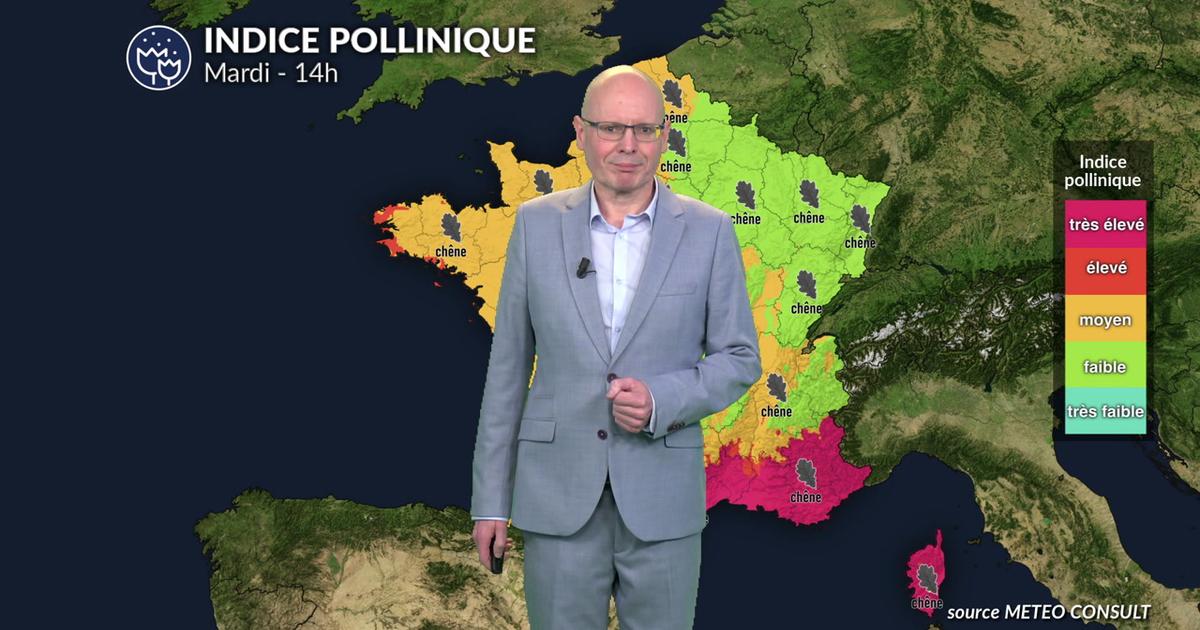 Alerte cyprès : vent violent et indice maximal de 5 du Sud à la Corse