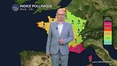 Alerte cyprès : vent violent et indice maximal de 5 du Sud à la Corse