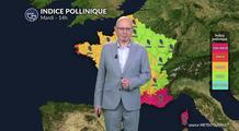 Alerte cyprès : vent violent et indice maximal de 5 du Sud à la Corse