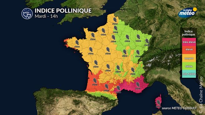 Indice pollinique pour ce mardi © La Chaine Météo