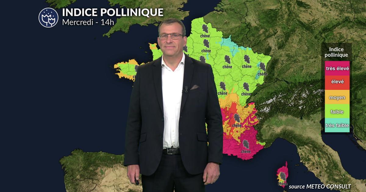 Pollens et allergies : amélioration au nord mais des indices encore très élevés dans le sud-est