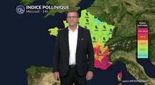 Pollens et allergies : amélioration au nord mais des indices encore très élevés dans le sud-est