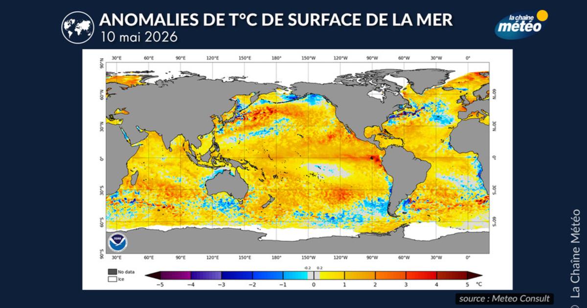 Vers le retour d’El Niño : ce que les scientifiques surveillent de près