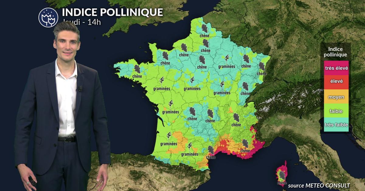 Pollens et allergies : la pluie offre un répit sur une grande partie du pays en ce jeudi de l'Ascension